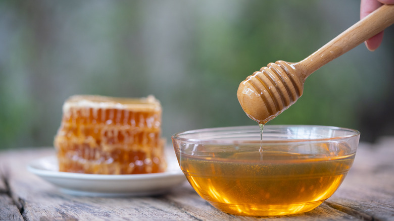 Bee making honey in the hive