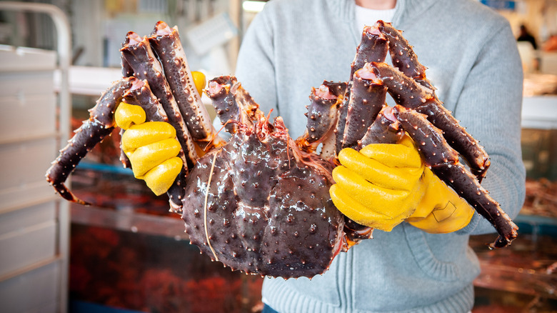 Person holding large king crab