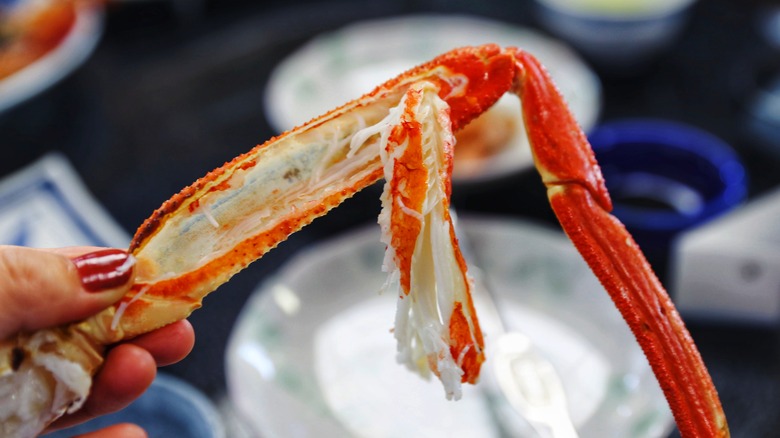 Person holding crab meat