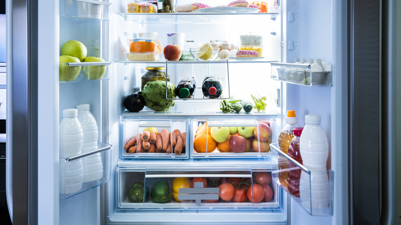 Interior of stocked fridge