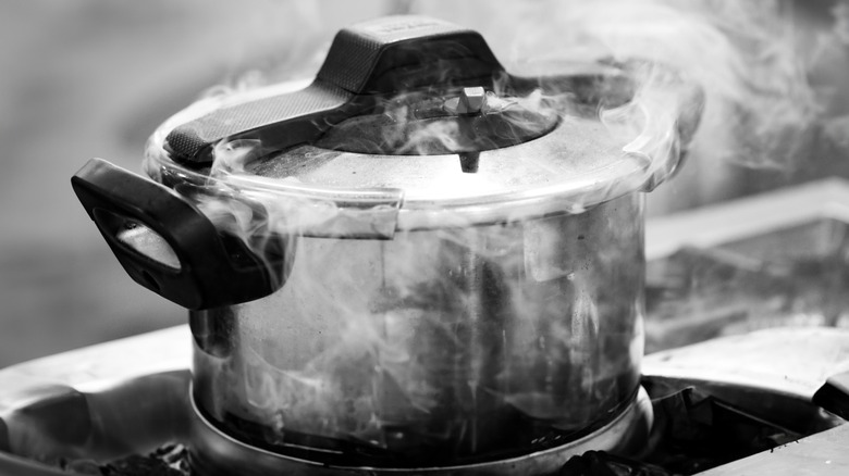 steaming pressure cooker