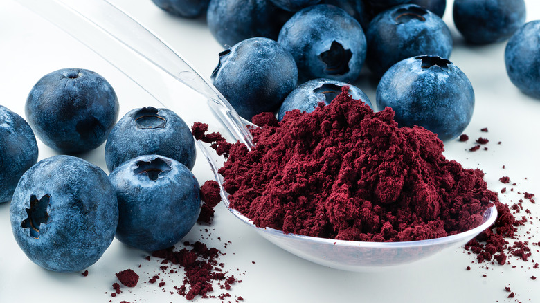 Blueberries and a spoon filled with freeze-dried blueberry powder