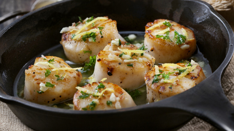 cooking scallops in pan