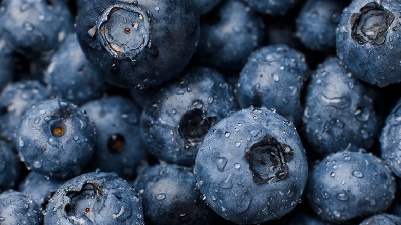 blueberries with water on them