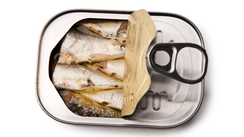 close up can of open sardines