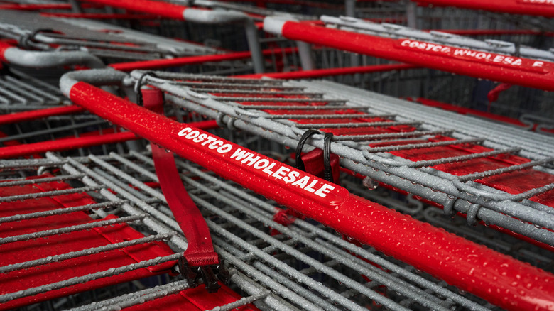 Costco shopping carts