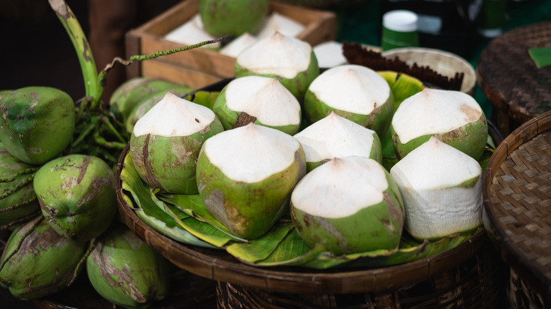 fresh coconuts on display at a market