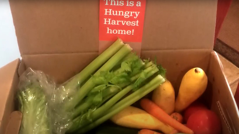 Hungry Harvest food kits 