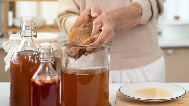 consumer making kombucha at home