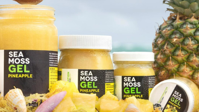 Transformation Factory Sea Moss gel in pineapple