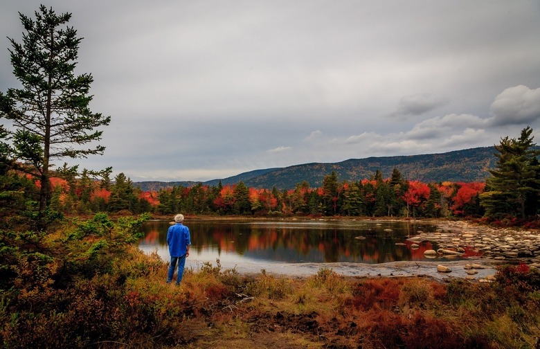 New England