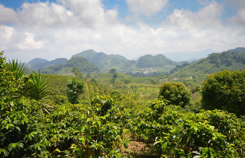 Honduras