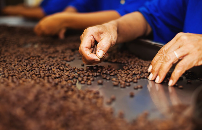 Where the World's Best Coffee Comes From: 9 Regions You Should Know