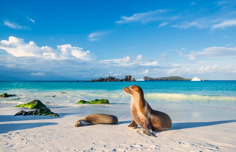 Galapagos Islands