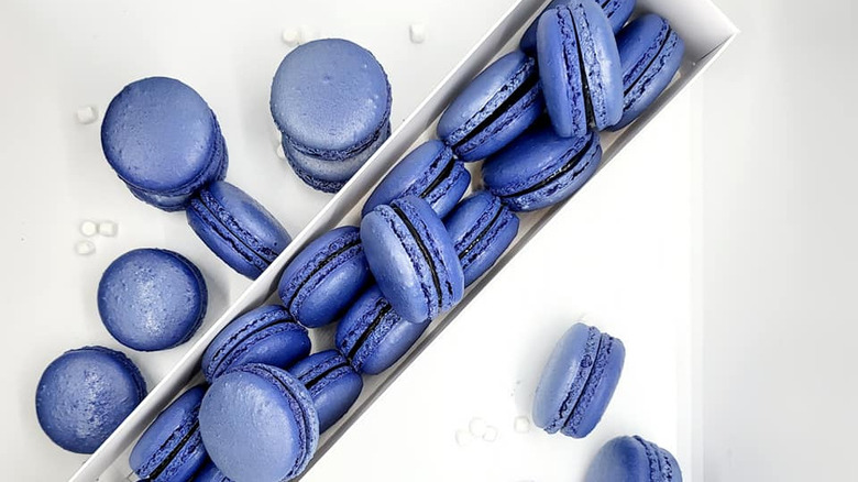 blue indigo macarons in box