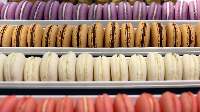 assorted macarons in bakery