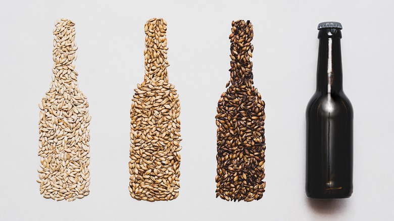 beer grains