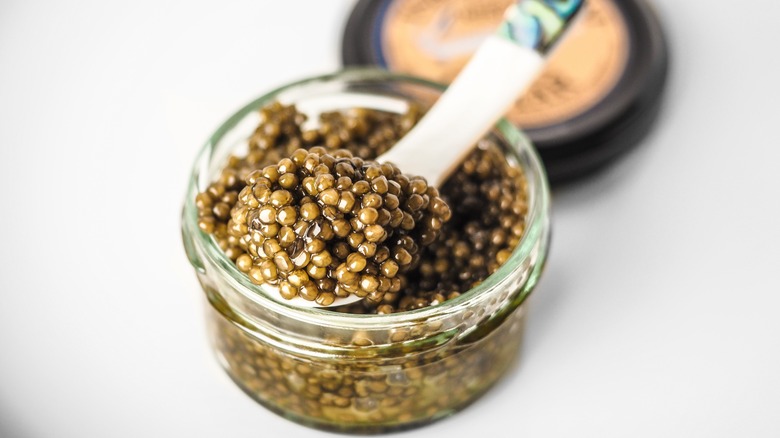 Osetra gold caviar