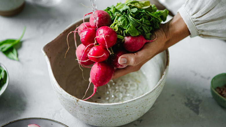 Person rinsing radishes in water