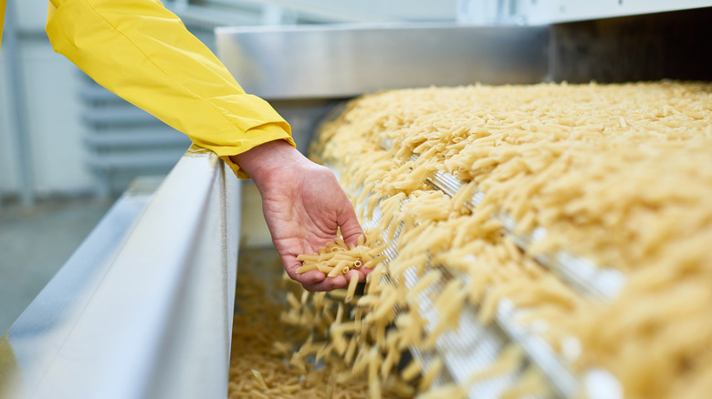 Dried pasta on factory belt