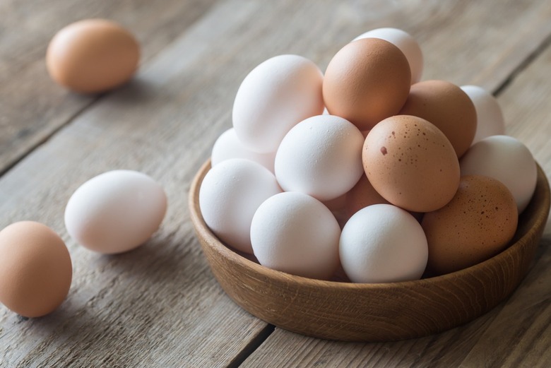 Why are some eggs brown and others white? 