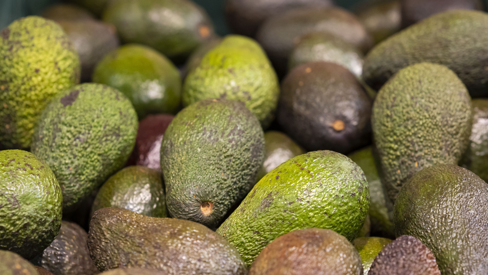 Why Avocado Prices Have Dropped At An Incredible Rate