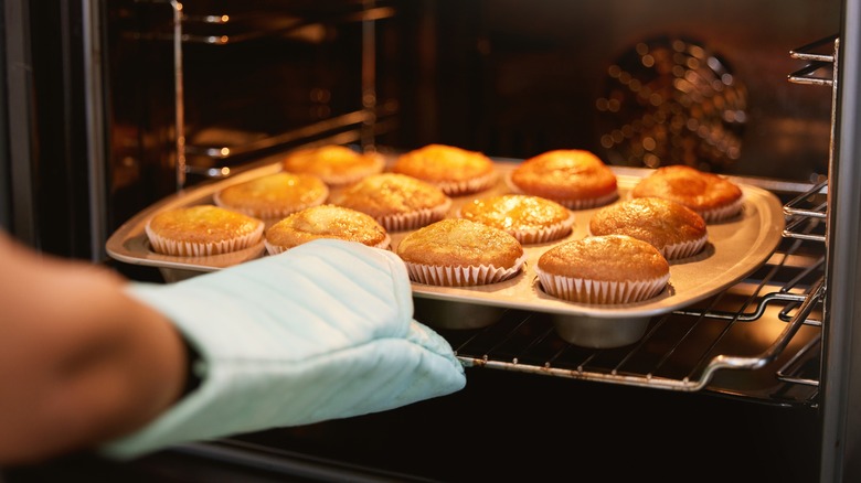 tan muffins in an oven