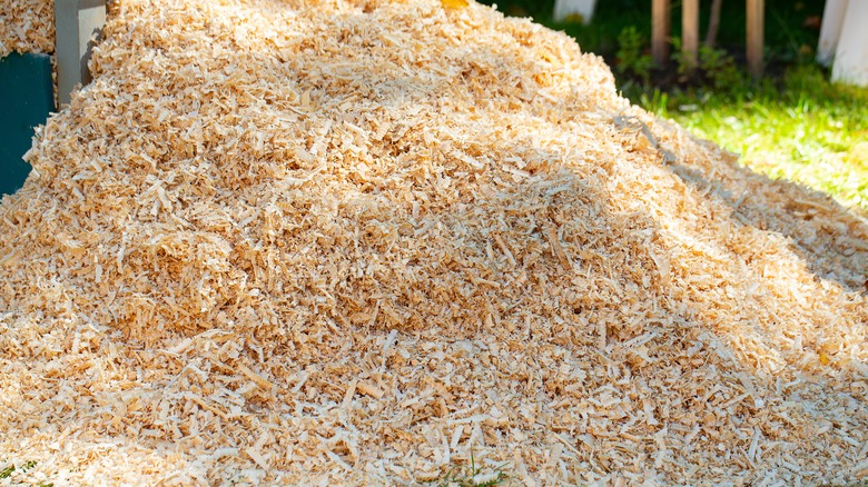 large pile of sawdust shavings