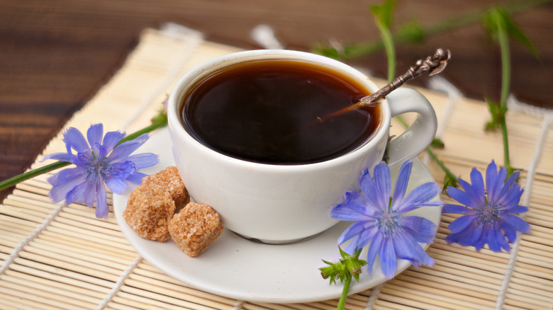 Chicory Coffee (Or Tea): What Is It And How To Make It
