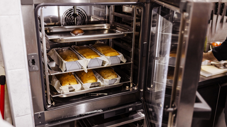 professional convection oven