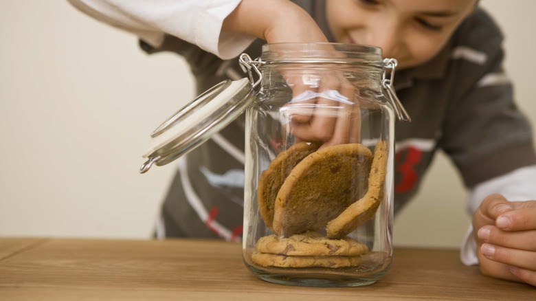 Child steals cookie from a jar