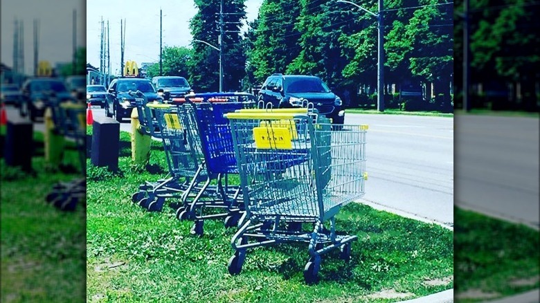 Assorted shopping carts on the side of a road 