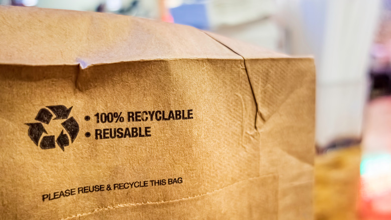 100% recyclable paper bag