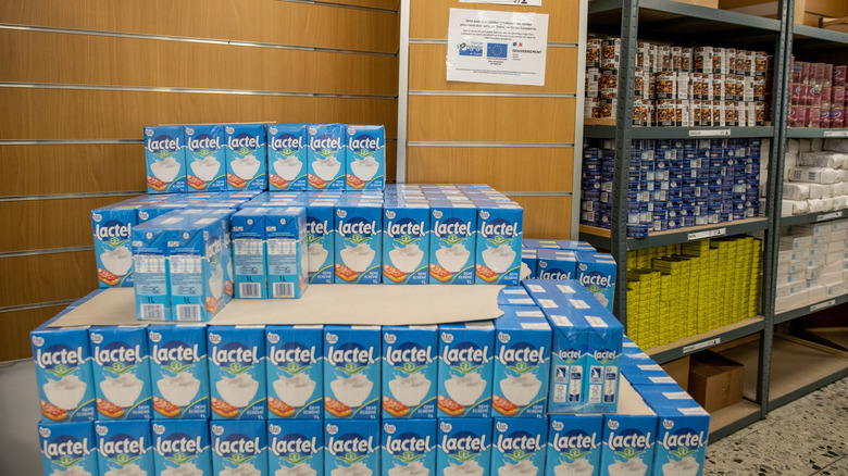 cartons of milk in European grocery