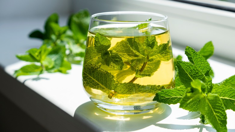 Green tea with mint