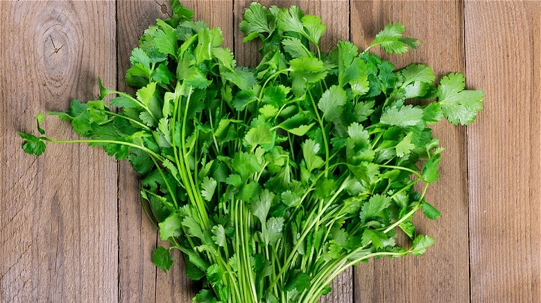 fresh cilantro on wood 