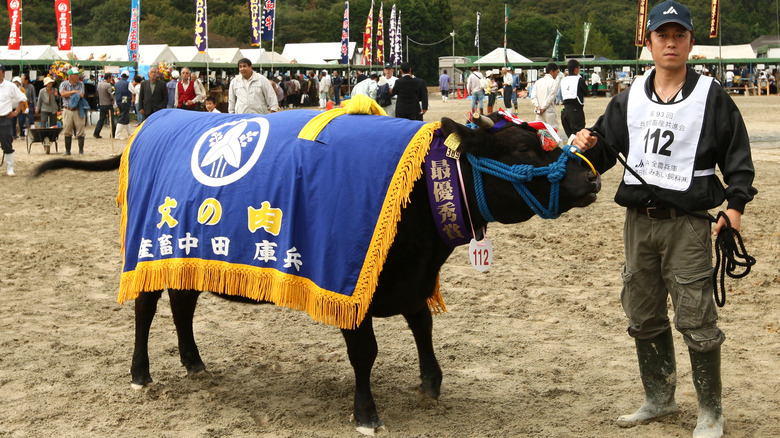 Farmer and cow at Hyogo Prefecture event