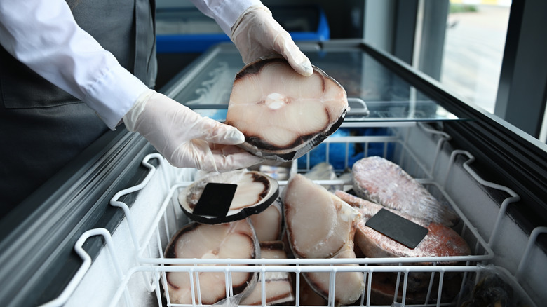 Woman holding frozen shark meat