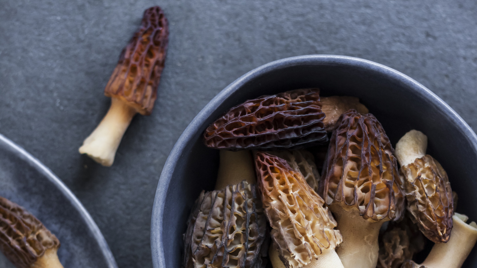 Why Morel Mushrooms Are So Incredibly Expensive   L Intro 1682030103 