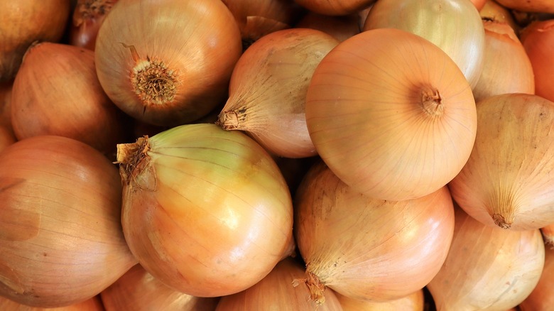 yellow onions with skin