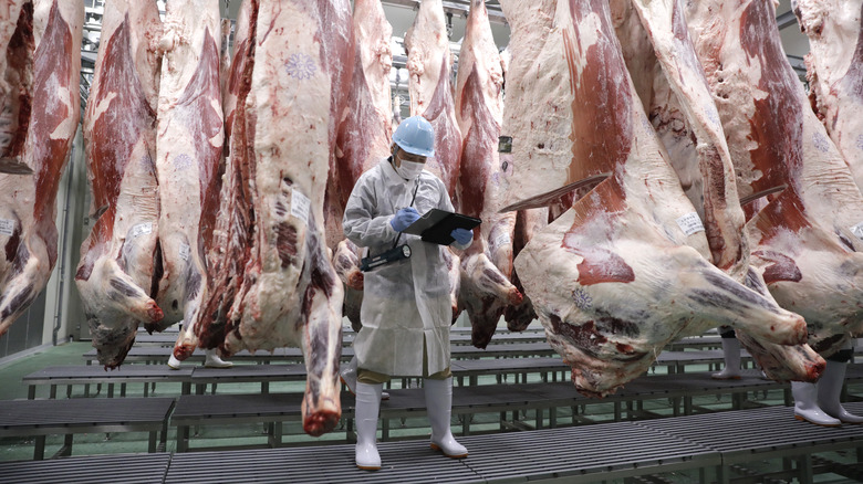 Worker beside hanging Kobe beef