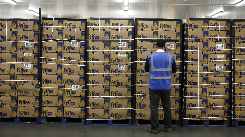 Crates of bananas in storage