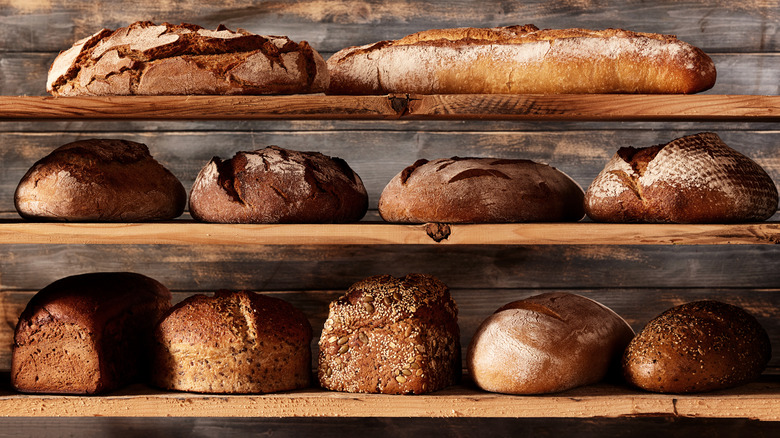 Assortment of loaves on shelves