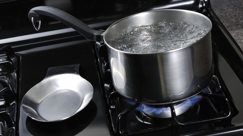 pot boiling water on stove