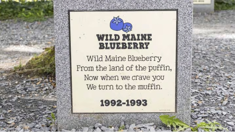 Wild Maine Blueberry headstone