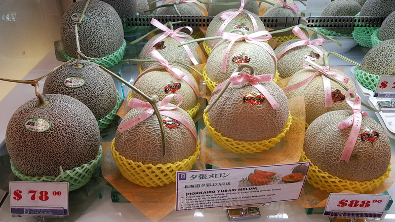 luxury melons