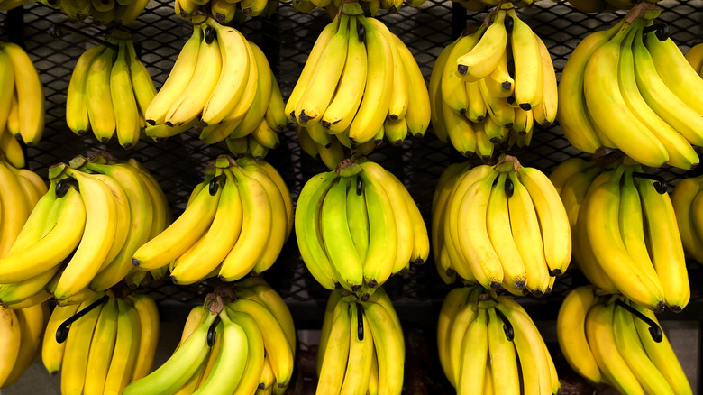 bananas for sale in store