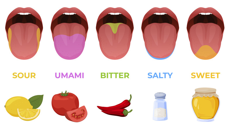 taste chart with illustrated tongues depicting sour, umami, bitter, salty and sweet