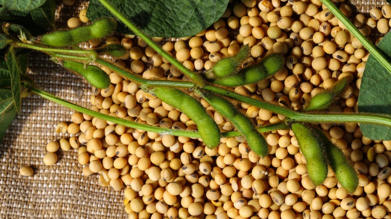 Soybeans