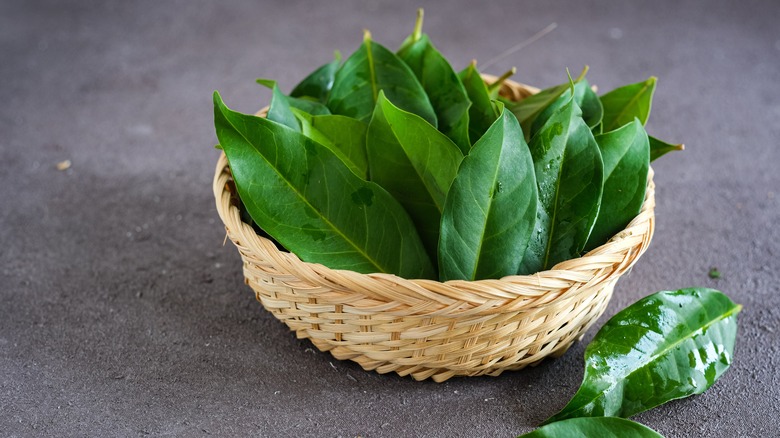 bay leaves in wicker basket